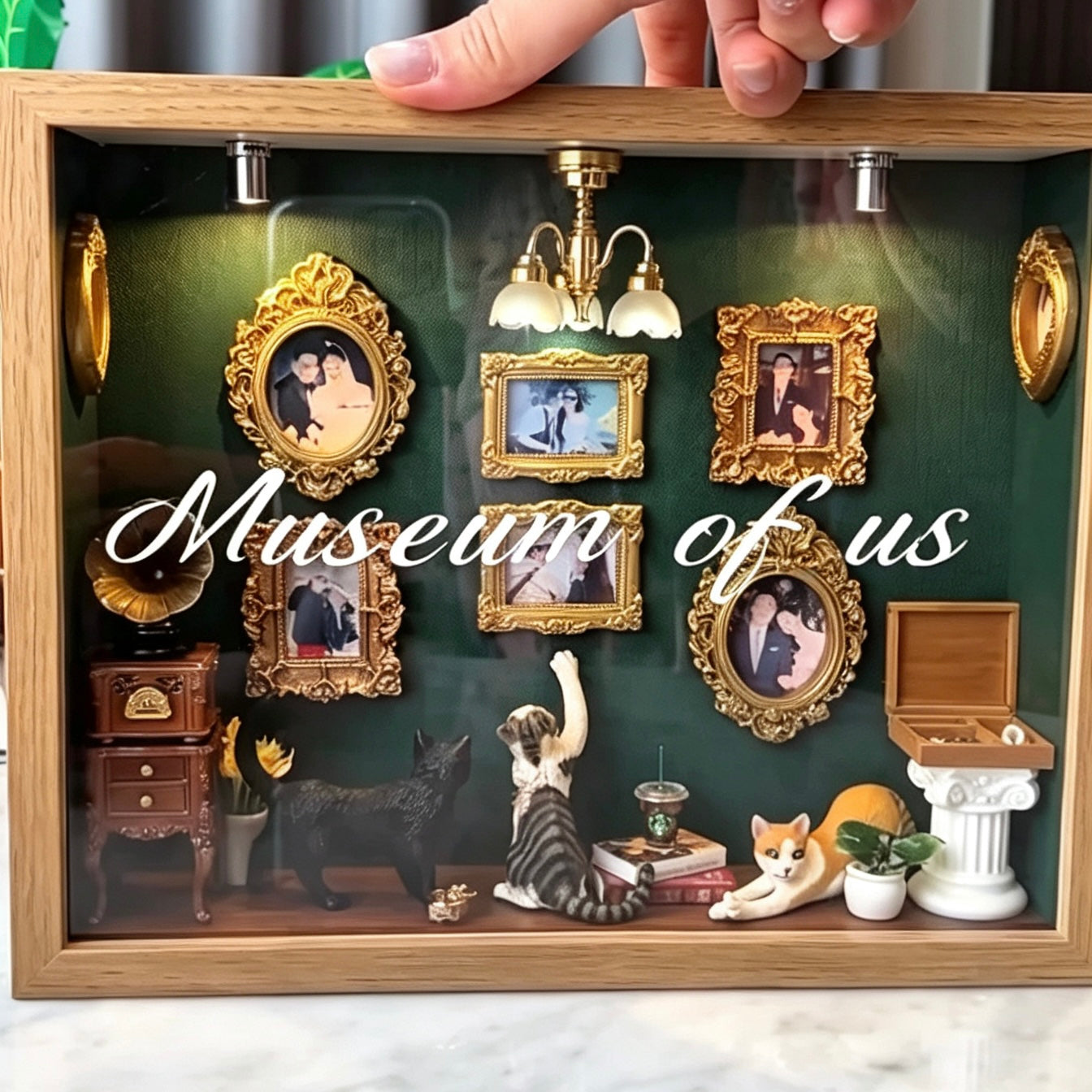 picture